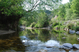 Parco Nazionale della Sila