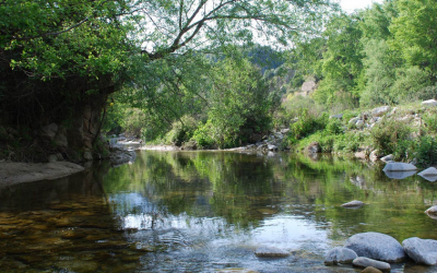 Parco Nazionale della Sila